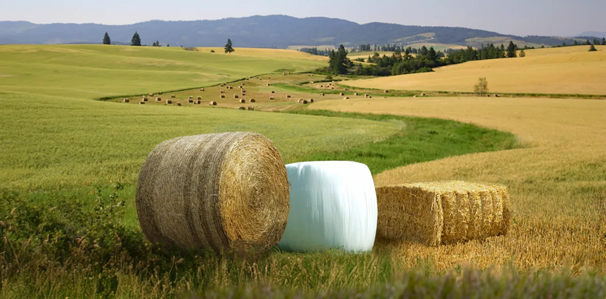 5 Common Baling Problems (and How to Stay Ahead of Them This Season ...