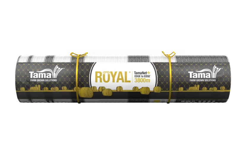 Tamanet Royal Edge To Edge 3800m Roll